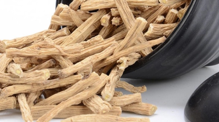 享游渭河源丨千年藥香浸潤的山水秘境，開啟一場康養(yǎng)之旅